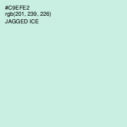 #C9EFE2 - Jagged Ice Color Image